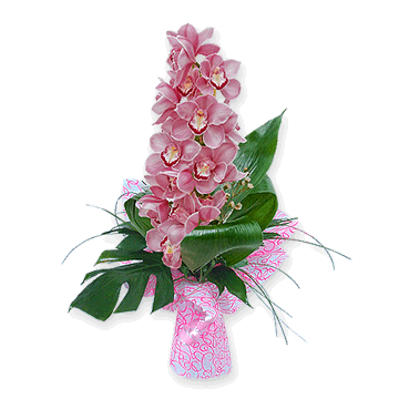 A bouquet of orchids — delicate beauty and elegance in every flower Elegance