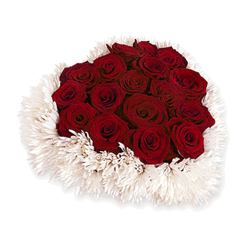 Heart from roses Heart from roses