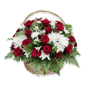 Korb mit Germinis, Chrysanthemen und Nelken Sonnenuntergang