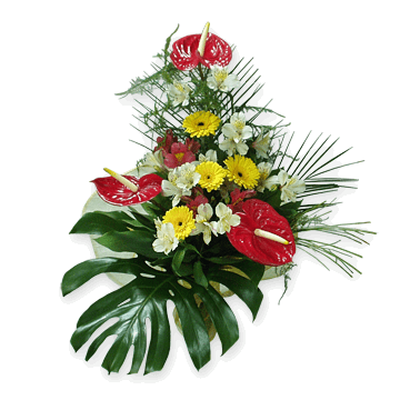Букет з антуриумов, гербер та альстромерій Парадиз