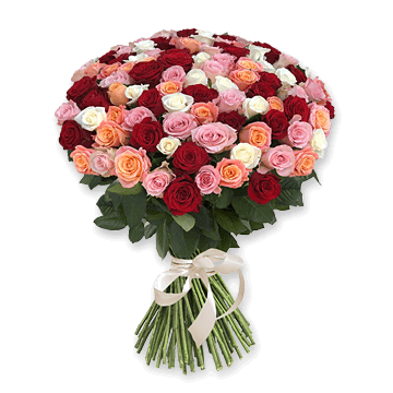 Roses colorées