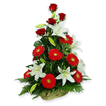 Basket with lilies, roses, gerberas decorated with verdure Madrid