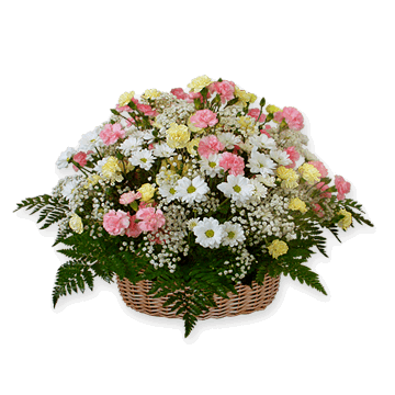 Basket with chrysanthemums and pinks decorated with verdure Florence