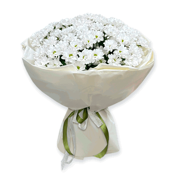 Blumenstrauß aus Chrysanthemen Blumenstrauß aus Chrysanthemen