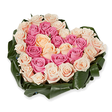 Heart from roses Heart from roses