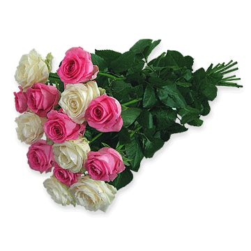 Roses blanches et lilas