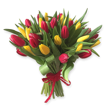 Tulipes rouges et jaunes