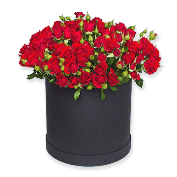 Roses spray in box Roses spray in box
