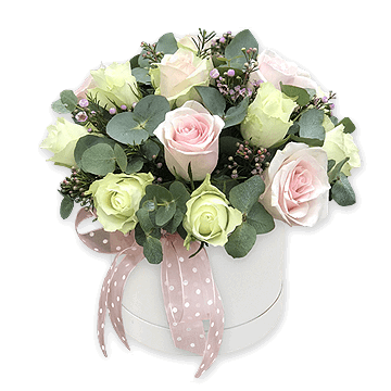 Roses in box Roses in box
