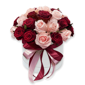 Roses in box Roses in box
