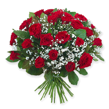 Rosas rojas