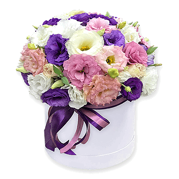 Lisianthus in einer Box