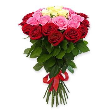 Roses colorées