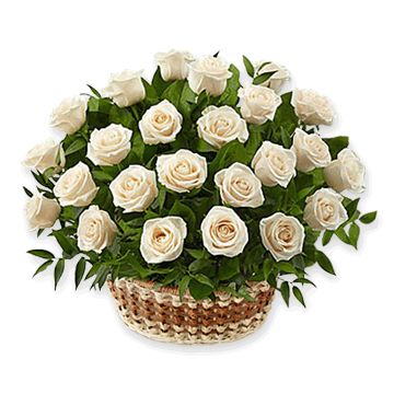 Canasta de rosas blancas