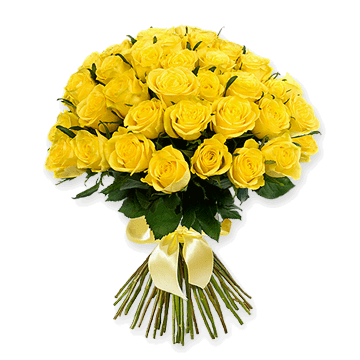 Roses jaunes