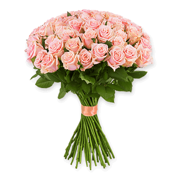 Roses roses