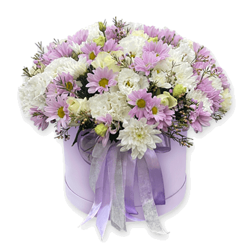 Chrysanthemums in a box. Evening Tenderness