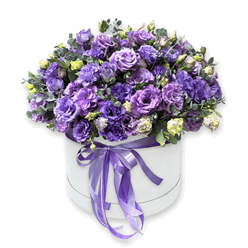 Violettes Märchen