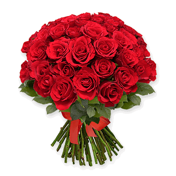 Roses rouges
