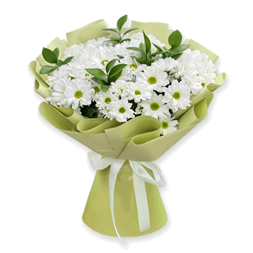 Bouquet of chrysanthemum Daisy Tenderness
