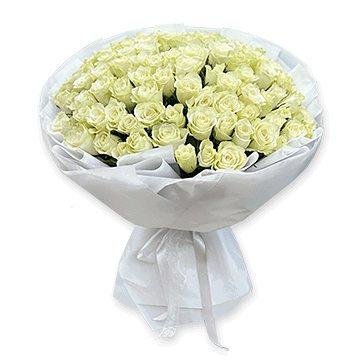 Bouquet of white roses (60 cm.) Innocent Charm