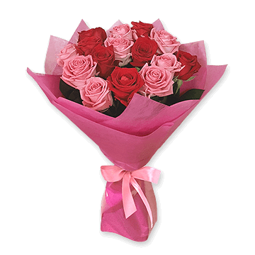 Red and pink roses