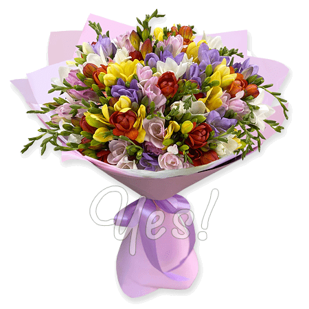 Blumenstrauß aus Freesien