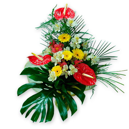 Bouquet of anthuriums, gerberas and alstroemerias decorated verdure