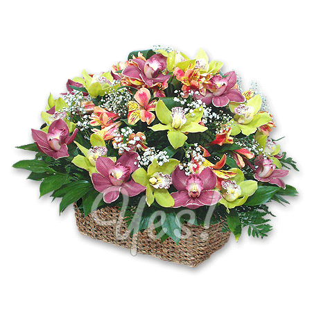 Cesta con orquídeas y alstroemerias Cesta con orquídeas y alstroemerias