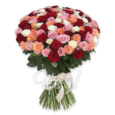 Bouquet of different color roses (70-80 cm.)