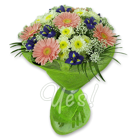 Blumenstrauß aus Germinis, Chrysanthemen und Irisen