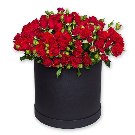 Rosas arbustivas en una caja de sombreros