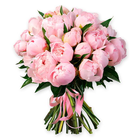 Strauß aus rosa Pfingstrosen – Inbegriff von Zärtlichkeit und Romantik