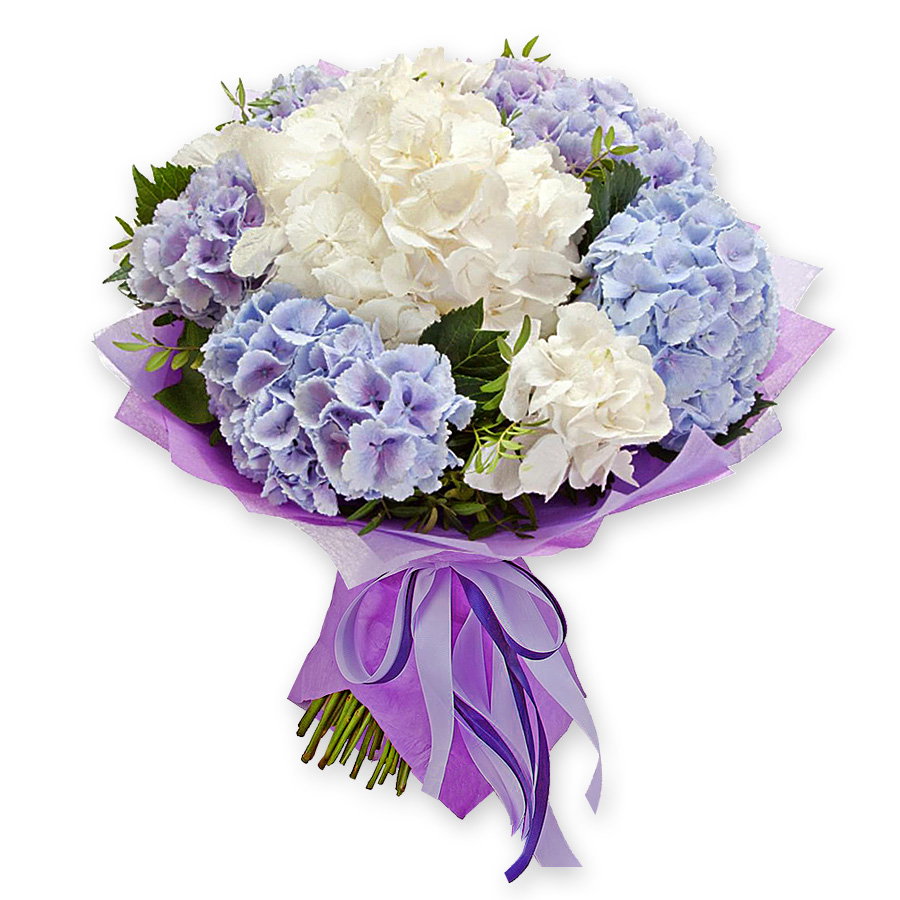 Ramo de hortensias blancos y azules — ternura y encanto provenzal Nubes