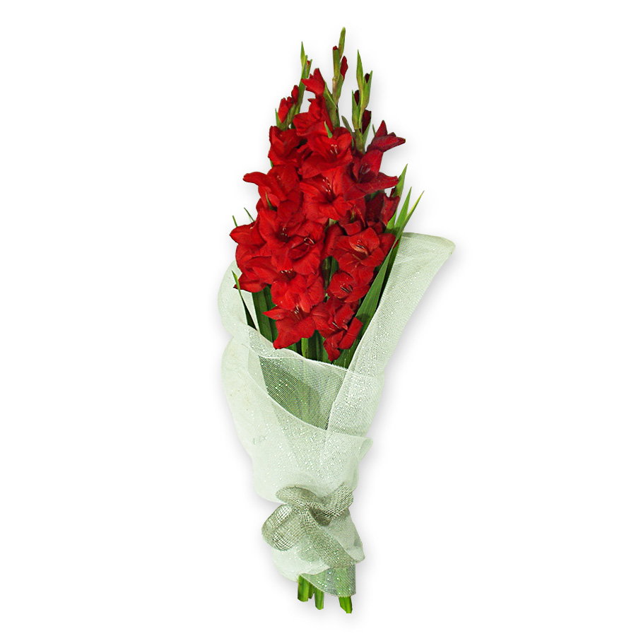Bouquet of gladioli