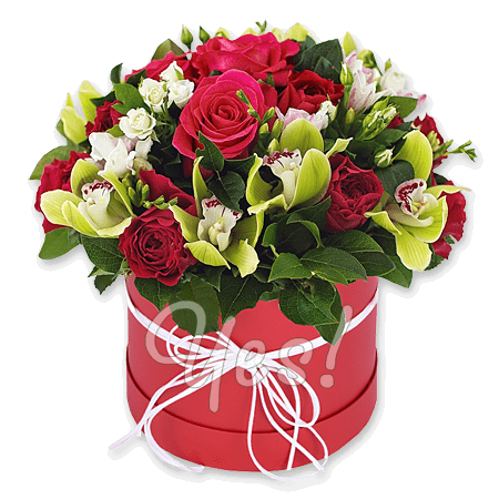 Arrangement of red and white roses with green orchids in a hat box — elegance and harmony