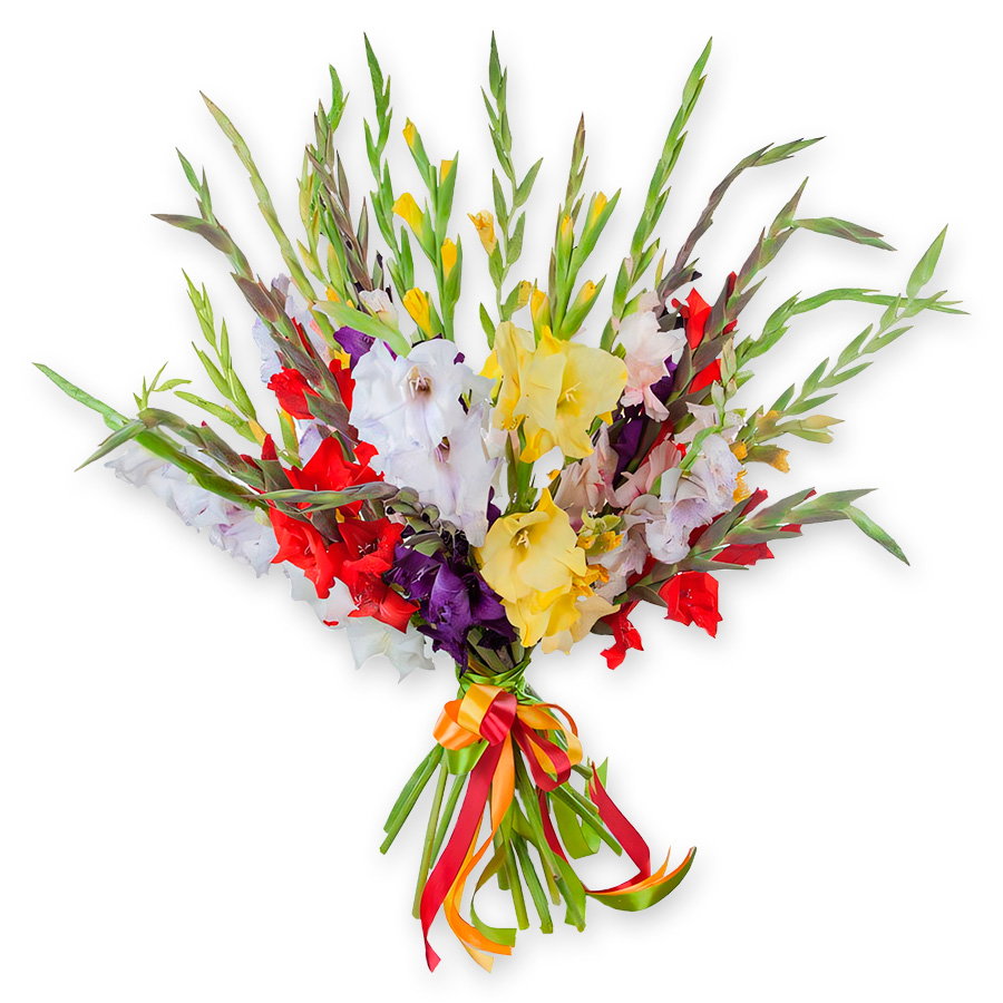 Bouquet gladioli