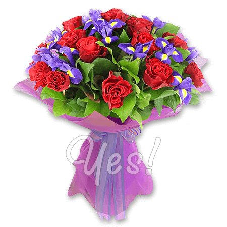 Bouquet de Roses Rouges et d’Iris — Force et Beauté