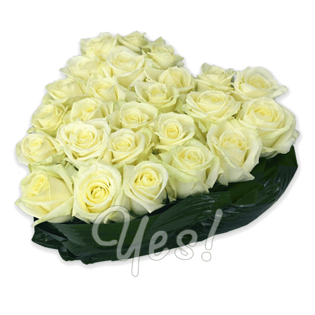 Cœur de roses – symbole d’amour et de sincérité