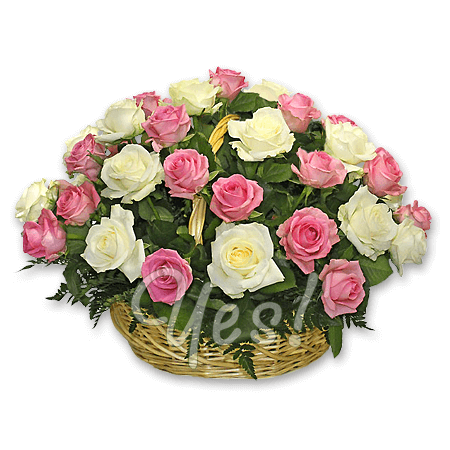 Basket white and pink roses — the perfect gift for any occasion
