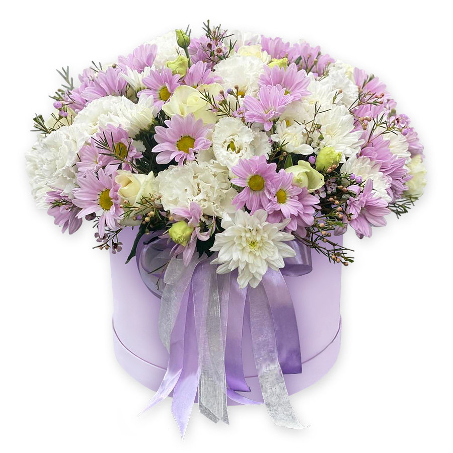 Chrysanthemums in a box. Evening Tenderness