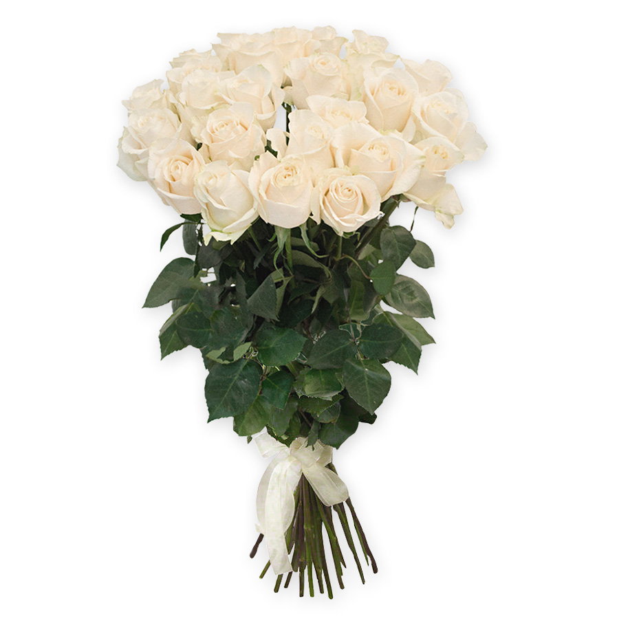 White roses