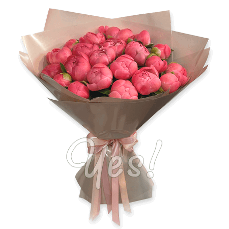 Bouquet de pivoines roses