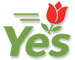 © Present - Blumen-Delivery-Netzwerk © Present - Blumen-Delivery-Netzwerk